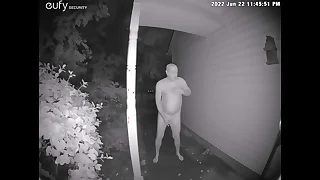 Scenes from my doorbell camera